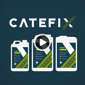 Op een milieuvriendelijke manier een processierupsen plaag bestrijden met Catefix